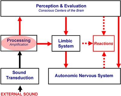 The neurophysiological approach to misophonia: Theory and treatment